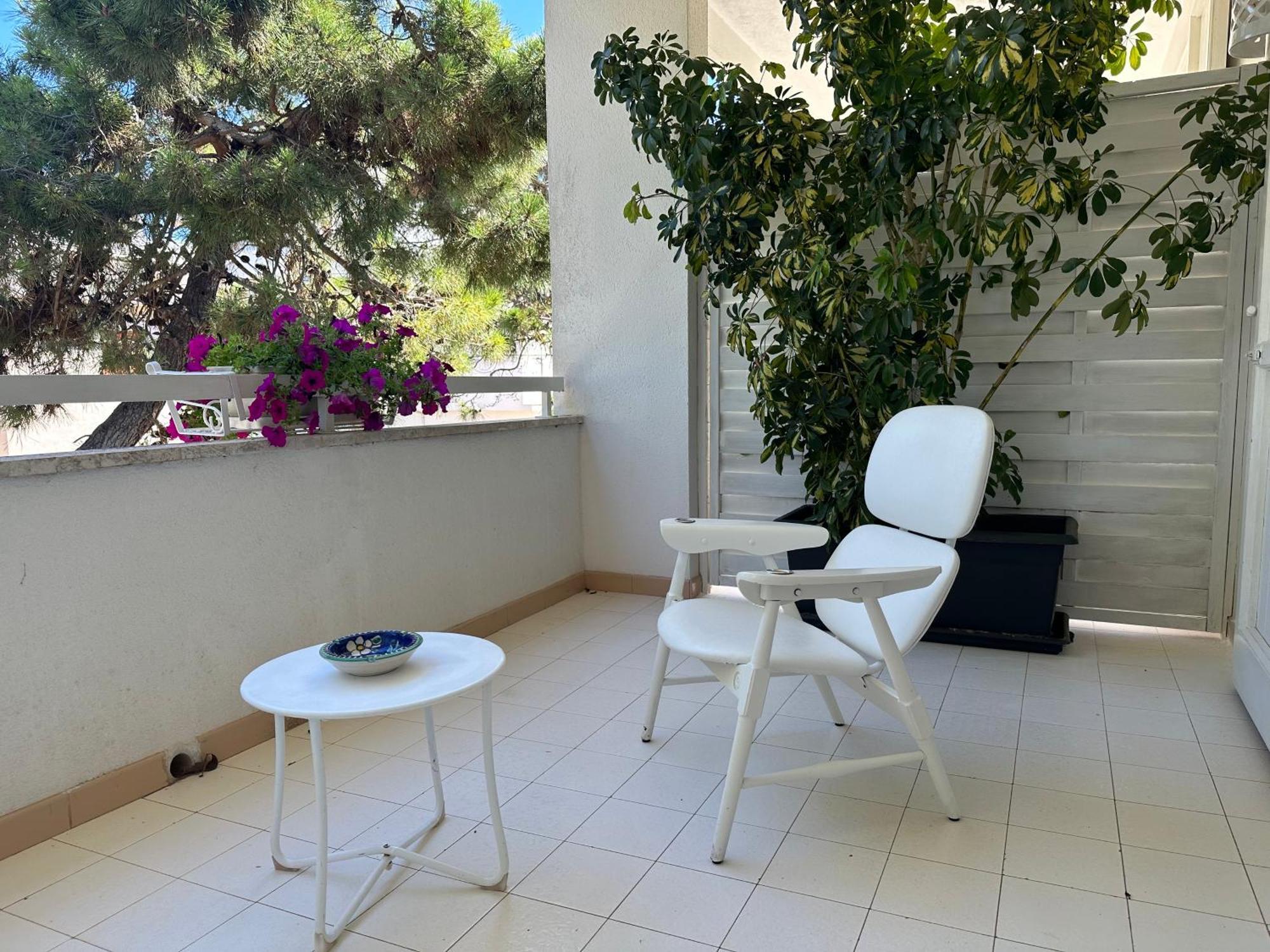 Teresa Maria Porto Cesareo
